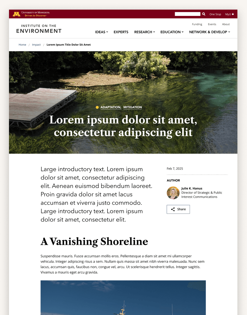 IonE Article